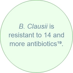 bacillus clausii health benefits